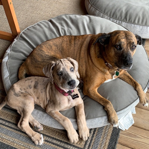 Who is @jamcat73?!?! - Picture 9 of 10